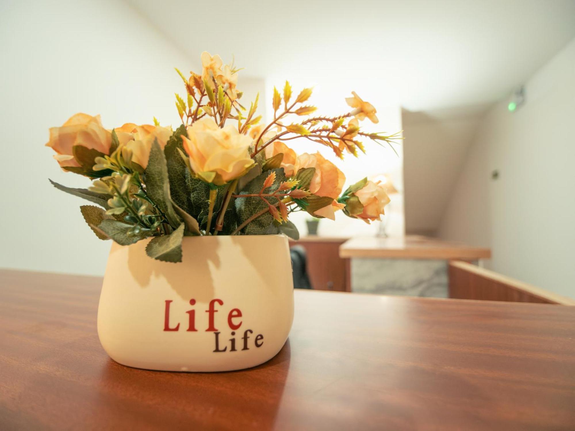 Residencial Liviamilena Santa Maria Daire Dış mekan fotoğraf